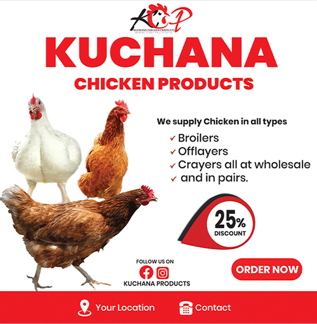 Chicken Supply Flyer Design Template